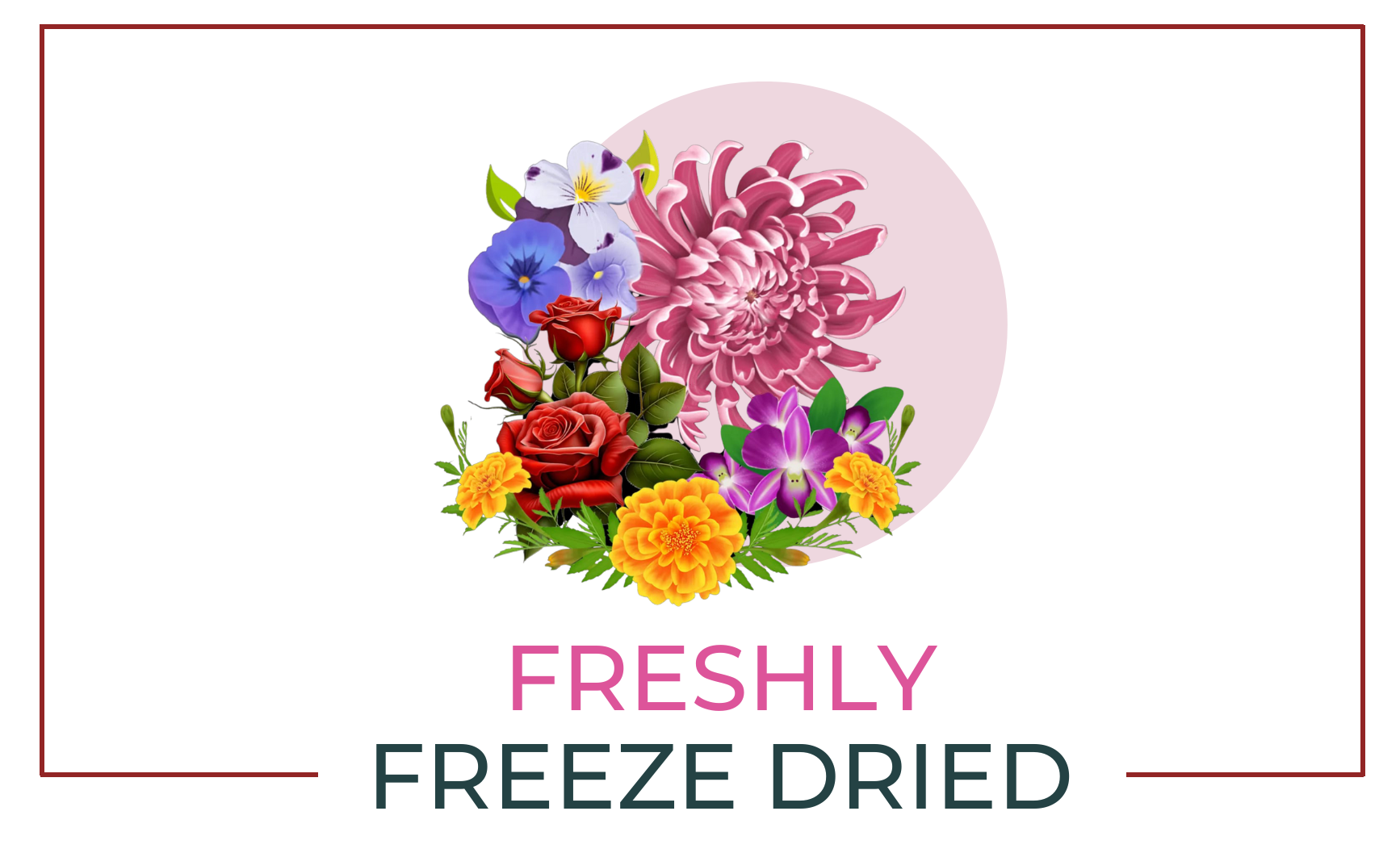 Freshly Freeze Dried Edible Flowers