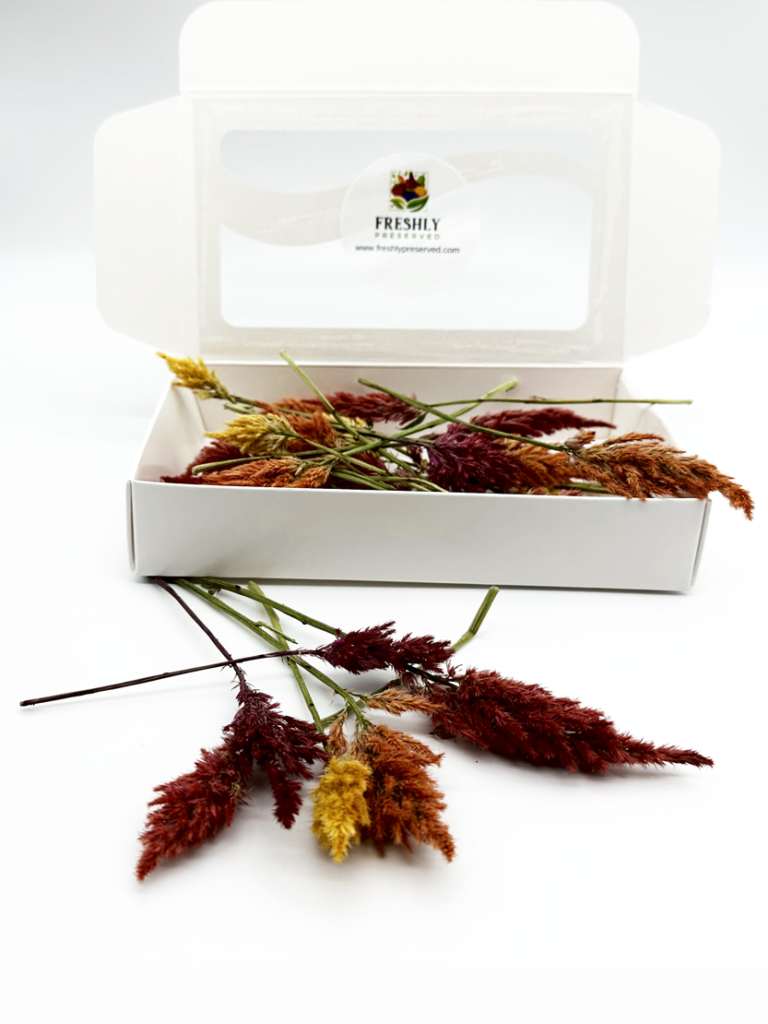 Dried edible flowers amaranth