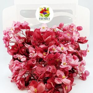 Freeze-dried Edible Begonias